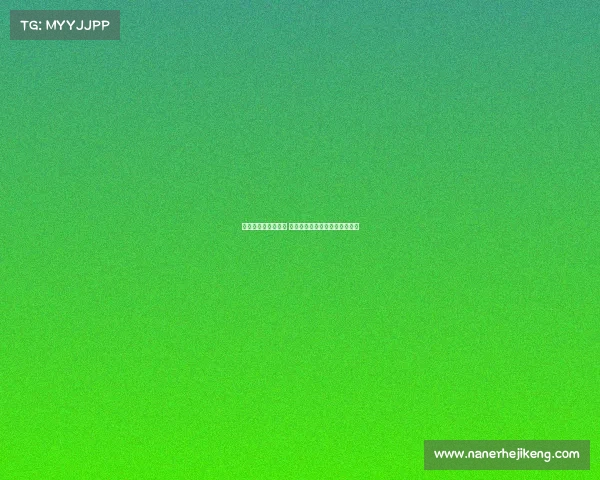 法甲转会窗口大揭秘 新援加盟与旧将离队的背后故事