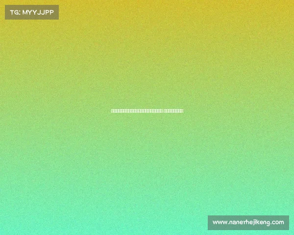 阿森纳旧将帕尔特伊自由转会加盟比利亚雷亚尔 双方签约一个赛季