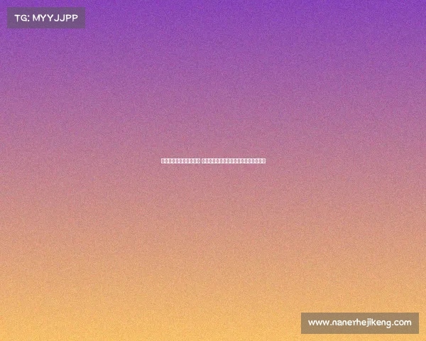 德甲联赛精彩回顾与分析 揭秘本赛季最值得关注的战术与球员表现