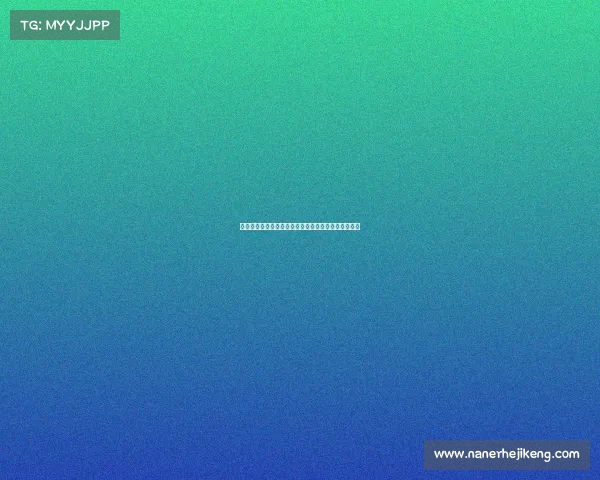 聚勒与多特合同剩一年暂无续约意向或将面临转会变动